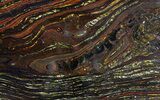 Polished Tiger Iron Stromatolite - ( Billion Years) #65244-1